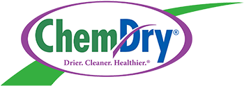 Mark Ray's Chem-Dry II Logo