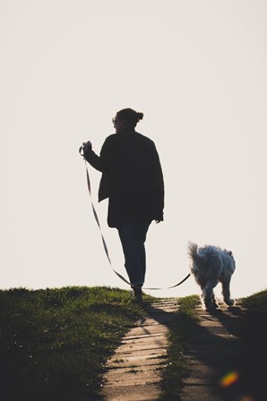 walking dog at dusk in Stockton California