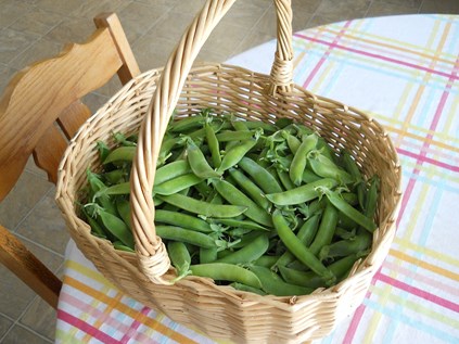 snap peas in a wicker basket