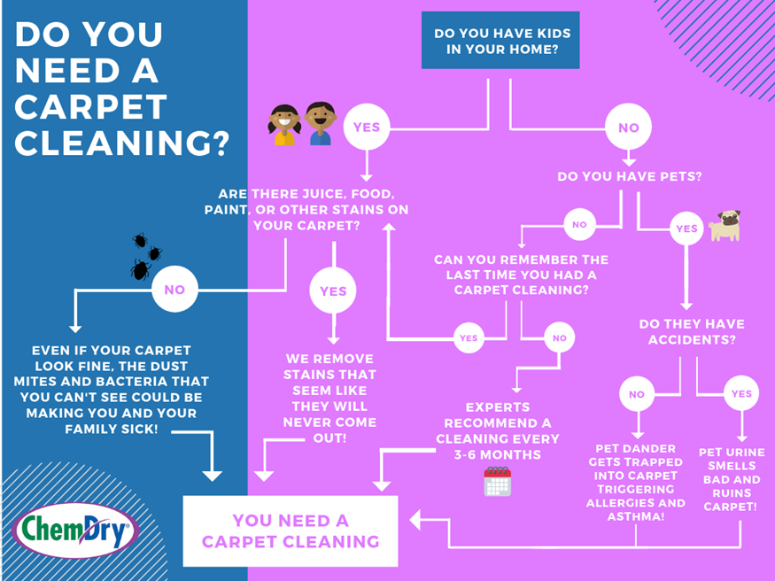 do you need a carpet cleaning? flowchart graphic in stockton CA