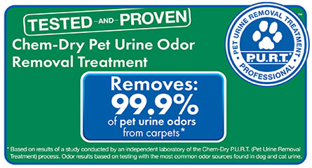 Chem-Dry's Pet Urine Removal Treatment Removes 99.9% of Pet Urine Odor